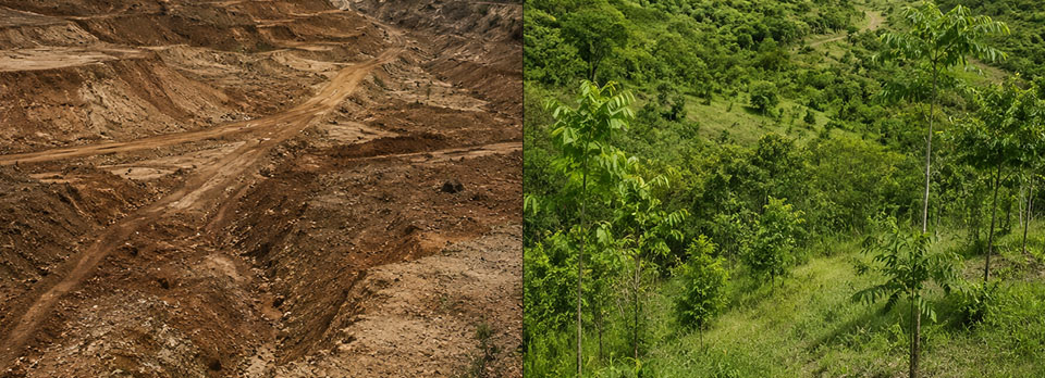Montagem de antes e depois de uma área em recuperação ambiental, resultado de um Plano de Recuperação de Áreas Degradadas (PRAD)
